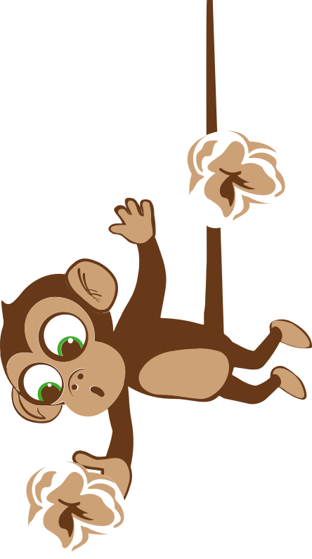 Hanging monkey holding a popcorn